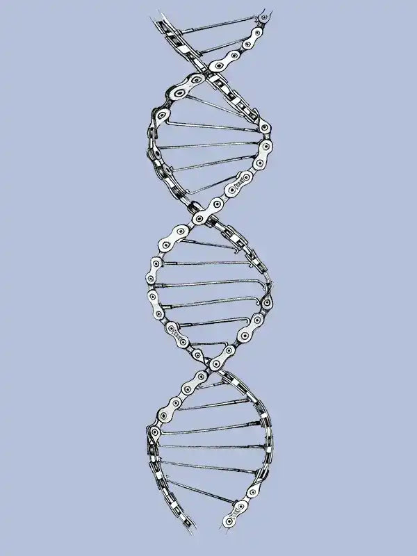 DNA double helix formed from bicycle chain links, symbolizing cycling heritage and design innovation