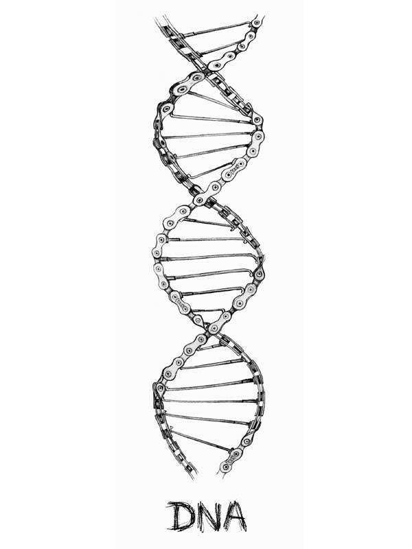DNA double helix made from bicycle chain links, cycling-themed design